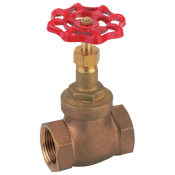 3/4inch BSP Female Gunmetal Globe Valve