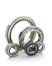Roller Bearings