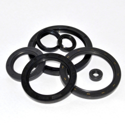 Oil Seals