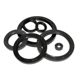 Metric Oil Seals