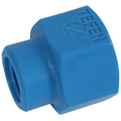 1/2Inch x 3/8Inch BSPT Female Reduce Socket Blue