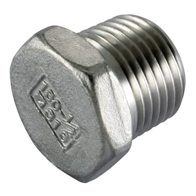1.1/4Inch BSPT Hex Blank Plug S/Steel