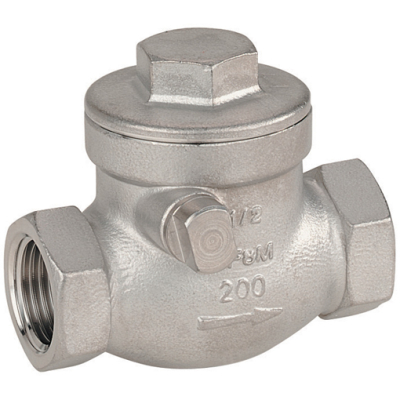 1 1/2Inch BSP 316 Swing Check Valve